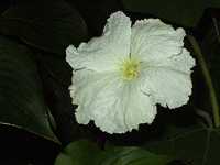 �q���E�^��