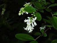 �C�{�^�m�L