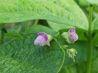 �C���Q��