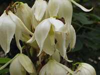 �C�g����