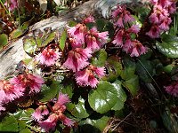 �C���J�K�~