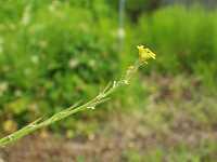 �J�L�l�K���V