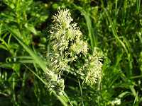 �J���K��