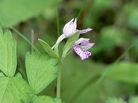 �J��������