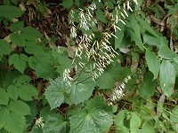 �J�j�R�E����