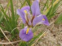 �J���U�L�A����