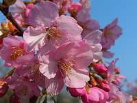 �J���d�U�N��