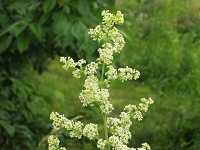 �J�����}�c�o