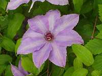 �J�U�O���}