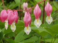 �P�}���\�E