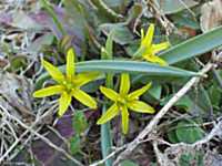 �L�o�i�m�A�}�i