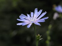 �L�N�j�K�i