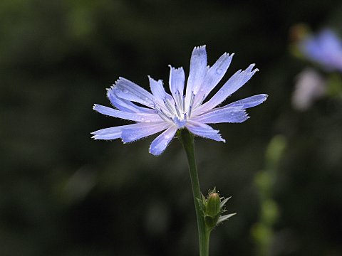 �L�N�j�K�i