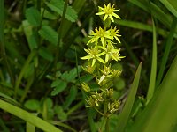 �L���R�E�J