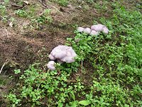 �R�����T�L�V���W