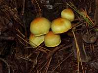 �j�K�N���^�P