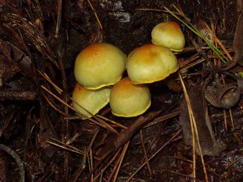 �j�K�N���^�P