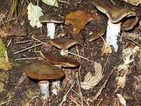 �k�����T�T�^�P