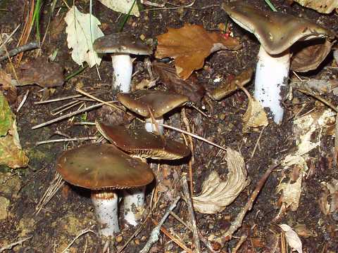 �k�����T�T�^�P