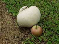 �I�j�t�X�x