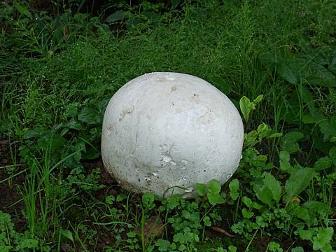 �I�j�t�X�x