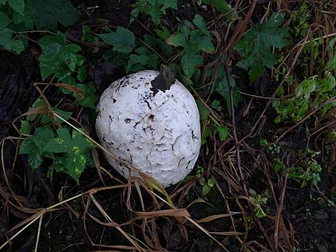 �I�j�t�X�x