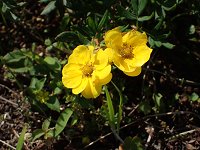 �L�����o�C