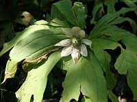 �L�k�K�T�\�E