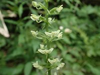 �L�\�`�h��