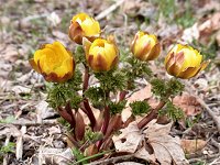 �L�^�~�t�N�W���\�E