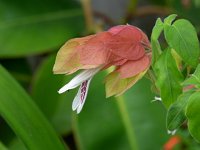 �R�G�r�\�E