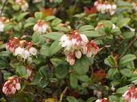 �R�P����