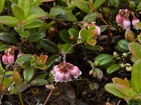 �R�P����