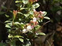 �R�P����