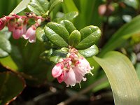 �R�P����