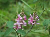 �R�}�c�i�M