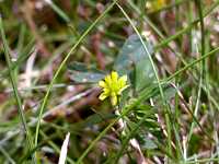 �R���c�u�c���N�T