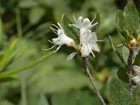 �R���c�c�W