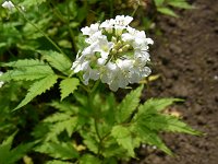 �R�������\�E