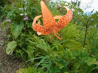 �R�I�j����