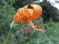 �R�I�j����