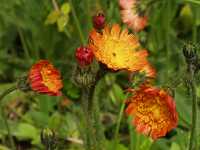 �R�E�����^���|�|