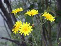 �R�E�]���i