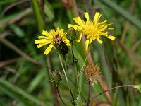 �R�E�]���i