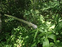 �N�}�K�C�\�E