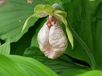 �N�}�K�C�\�E