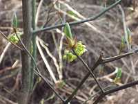 �N�����W