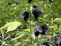 �N������