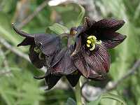 �N������