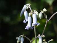 �N�T�{�^��